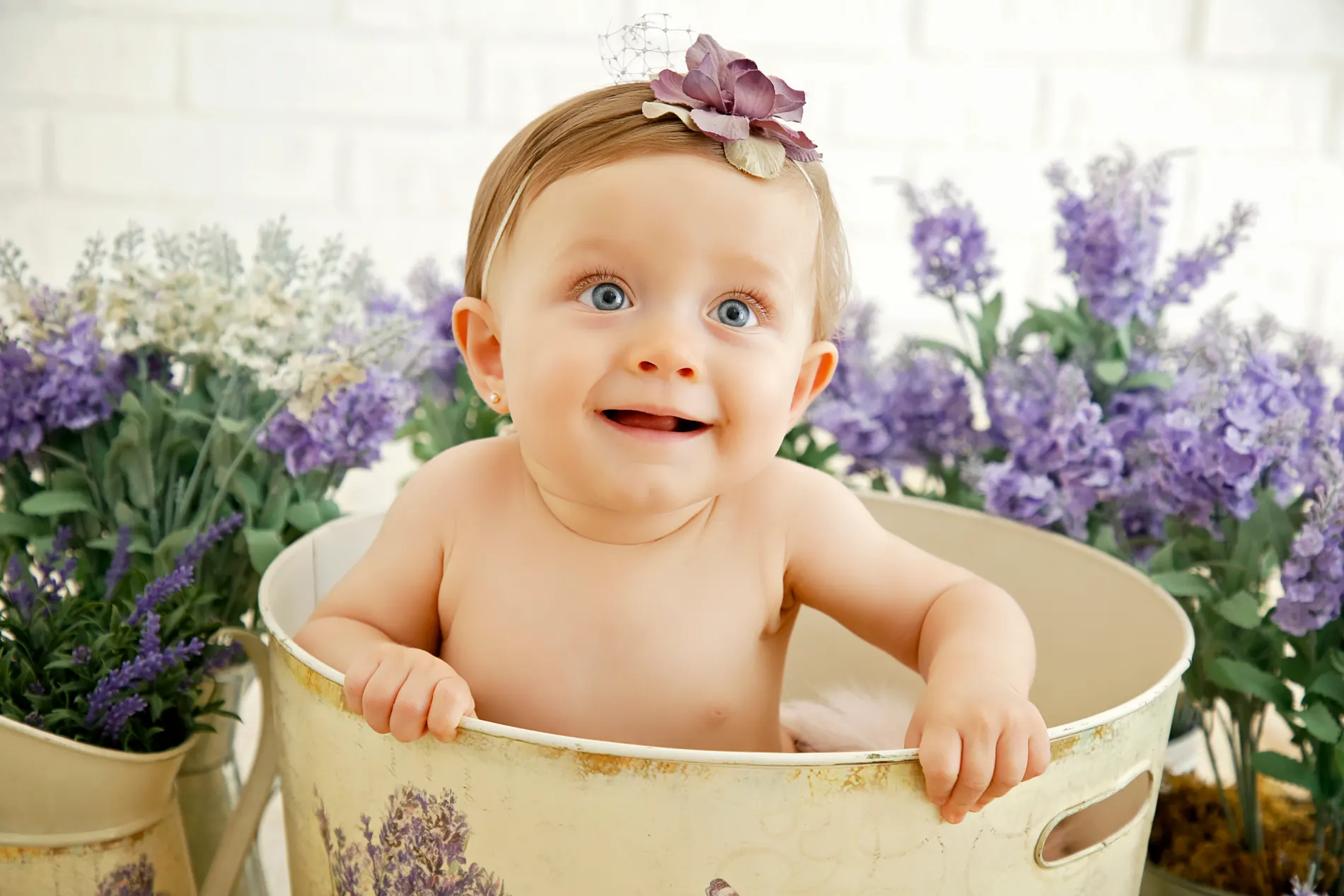 Acompanhamento de bebê em Curitiba — AQ Studio & Co., foto 8