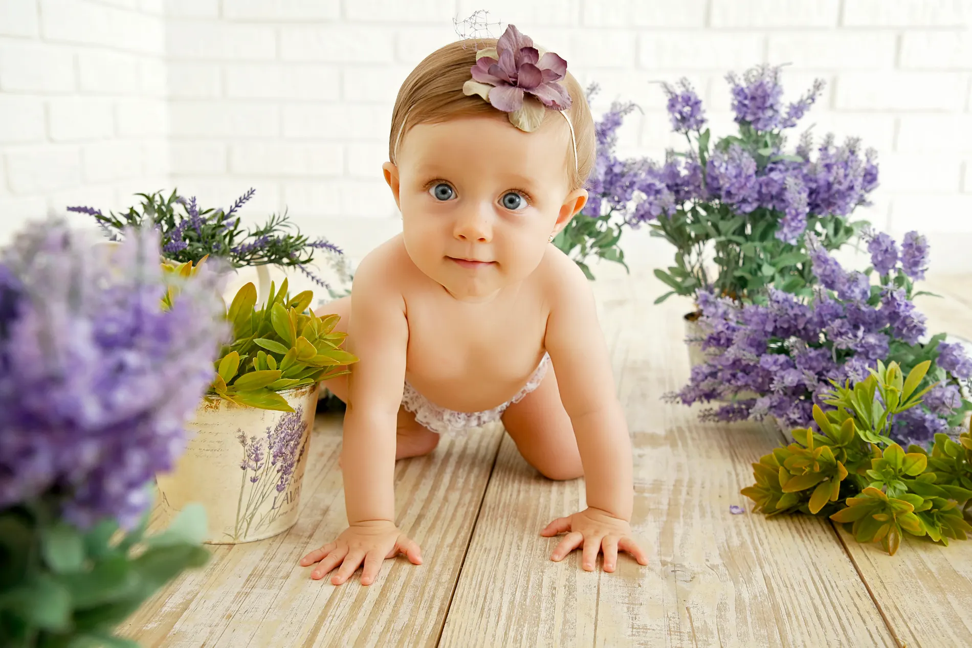 Acompanhamento de bebê em Curitiba — AQ Studio & Co., foto 9